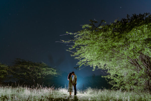 20 pre wedding presets - Image 2