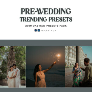2700 PRE-WEDDING PRESETS