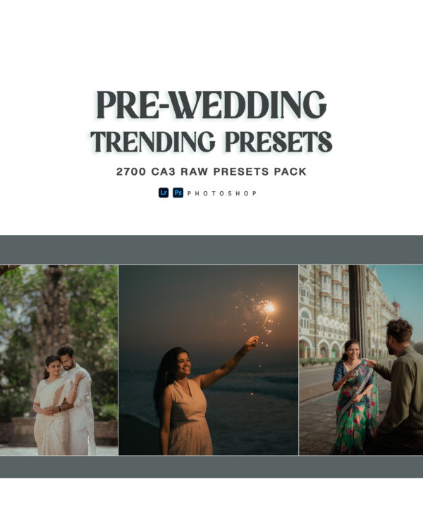2700 PRE-WEDDING PRESETS